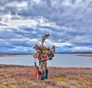 Unguided Caribou Hunter in Alaska Packing out a bull