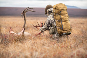 DIY hunter admiring his caribou.