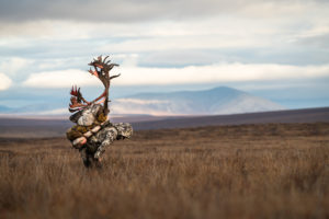 Packing out an Alaska caribou