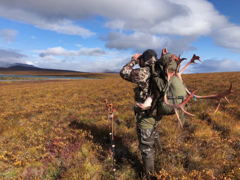 Alaskan DIY Caribou Drop Hunt