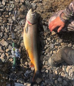 Fishing for lake trout with a lightweight rod