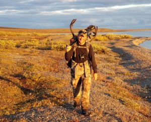 Packing a caribou bull into camp