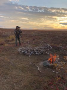 Glassing for caribou