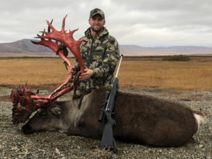 Just barely shed his velvet