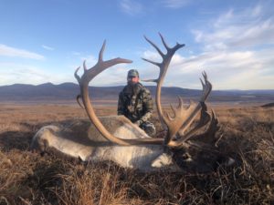 Kotzebue Caribou 2018