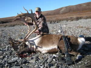 I nice caribou bull
