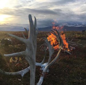 Caribou campfire