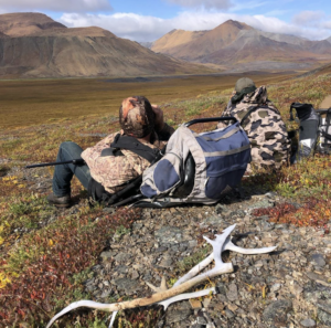 Glassing for caribou