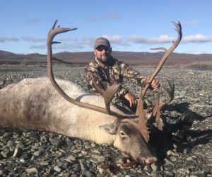 2020 Kotzebue Caribou GMU 23