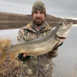 A great lake trout