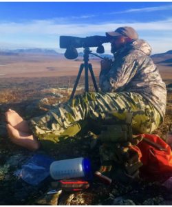 Glassing for caribou
