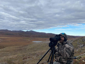 Glassign for caribou