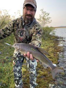 Fishing for grayling