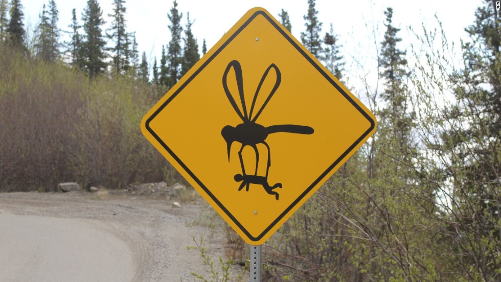 Dealing with bugs in Alaska