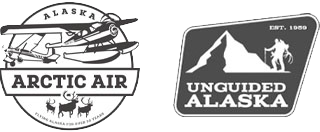 AA and UGA LOGOS
