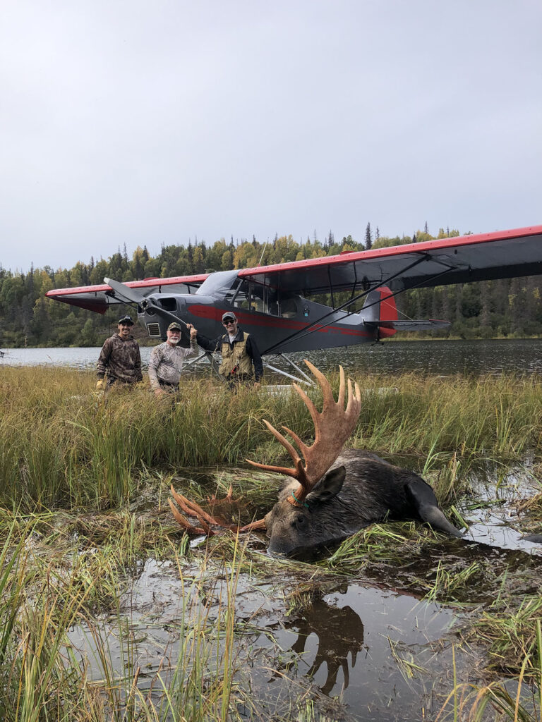 DIY moose hunts in Alaska