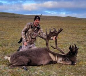 A great caribou bull