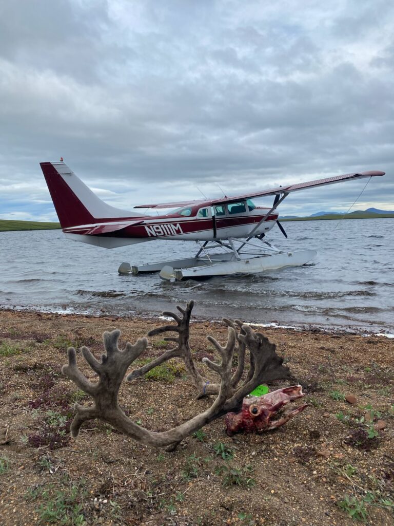 Float plane picking up a caribou on a lake.